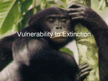 Vulnerability to Extinction