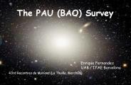 The PAU (BAO) Survey