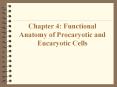 Chapter%204:%20Functional%20Anatomy%20of%20Procaryotic%20and%20Eucaryotic%20Cells PowerPoint PPT Presentation