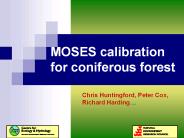 MOSES calibration for coniferous forest