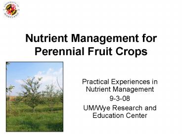 Nutrient Management for Perennial Fruit Crops