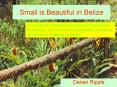 Small is Beautiful in Belize PowerPoint PPT Presentation