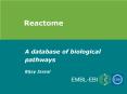 A database of biological pathways PowerPoint PPT Presentation