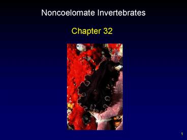 Noncoelomate Invertebrates