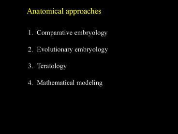 Anatomical approaches