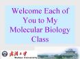 Welcome Each of You to My Molecular Biology Class PowerPoint PPT Presentation