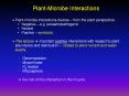 Plant-Microbe Interactions PowerPoint PPT Presentation