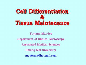 presentation player overlay