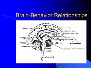 BrainBehavior Relationships