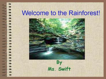 Welcome to the Rainforest!