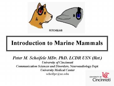 Introduction to Marine Mammals