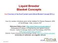 Liquid Breeder Blanket Concepts PowerPoint PPT Presentation