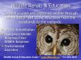 Wildlife Rehab PowerPoint PPT Presentation