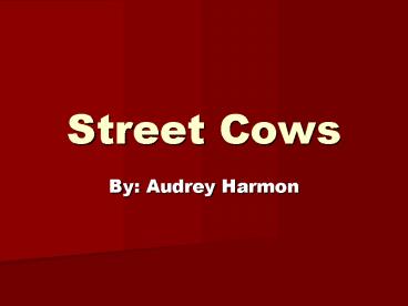 Street Cows