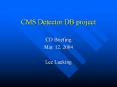 CMS%20Detector%20DB%20project PowerPoint PPT Presentation