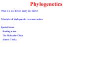 Phylogenetics
