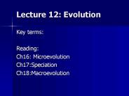 Lecture 12: Evolution