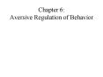 Chapter 6: Aversive Regulation of Behavior PowerPoint PPT Presentation