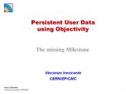 Persistent User Data using Objectivity