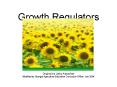 Growth Regulators Original by Libby Astrachan Modified by Georgia Agriculture Education Curriculum O PowerPoint PPT Presentation