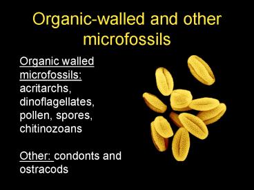 Organicwalled and other microfossils
