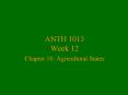 ANTH 1013 Week 12 Chapter 10: Agricultural States PowerPoint PPT Presentation