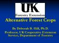 Alternative Forest Crops PowerPoint PPT Presentation