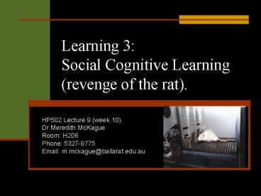 Learning 3: Social Cognitive Learning revenge of the rat'
