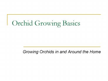 Orchid Growing Basics