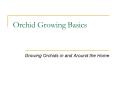 Orchid Growing Basics PowerPoint PPT Presentation