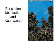 Population Distribution and Abundance