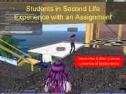 Students in Second Life Experience with an Assignment
