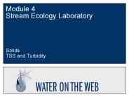 Module 4 Stream Ecology Laboratory