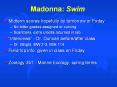 Madonna:%20Swim PowerPoint PPT Presentation