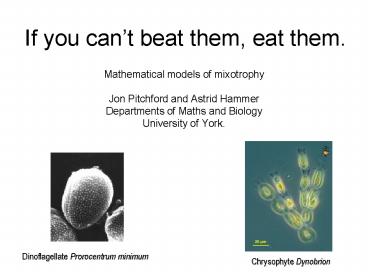 If you cant beat them, eat them'