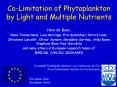 Co-Limitation of Phytoplankton by Light and Multiple Nutrients PowerPoint PPT Presentation