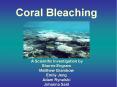 Coral Bleaching PowerPoint PPT Presentation