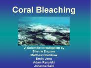 Coral Bleaching