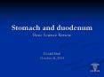 Stomach and duodenum Basic Science Review PowerPoint PPT Presentation