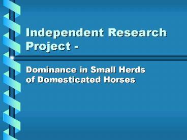 Independent Research Project