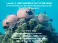 Lesson 1: Just Another Day in the Hood An Introduction to Symbiotic Relationships in the Coral Reef Ecosystem PowerPoint PPT Presentation
