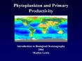 Phytoplankton and Primary Productivity PowerPoint PPT Presentation