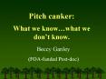 Pitch canker: What we knowwhat we dont know' PowerPoint PPT Presentation