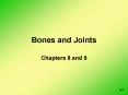 Bones and Joints PowerPoint PPT Presentation
