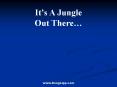Its A Jungle PowerPoint PPT Presentation
