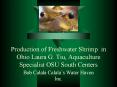 Production of Freshwater Shrimp in Ohio Laura G' Tiu, Aquaculture Specialist OSU South Centers PowerPoint PPT Presentation
