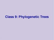 Class 9: Phylogenetic Trees