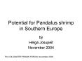 Potential for Pandalus shrimp in Southern Europe PowerPoint PPT Presentation