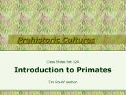 Prehistoric Cultures