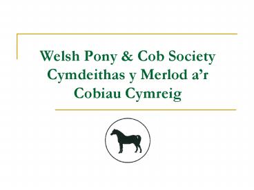 Welsh Pony